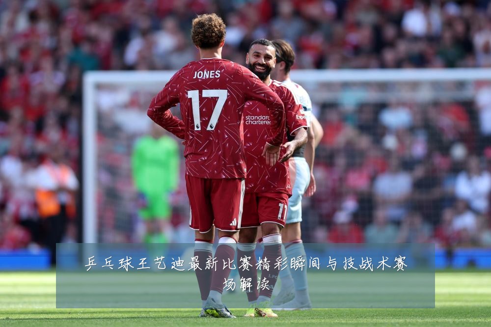 乒乓球王艺迪最新比赛精彩瞬间与技战术赛场解读
