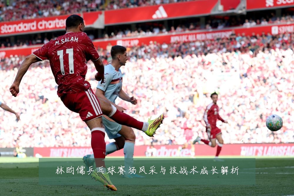 林昀儒乒乓球赛场风采与技战术成长解析